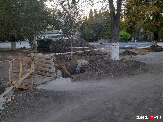 Источник: Ксения Сухоленко / 161.RU