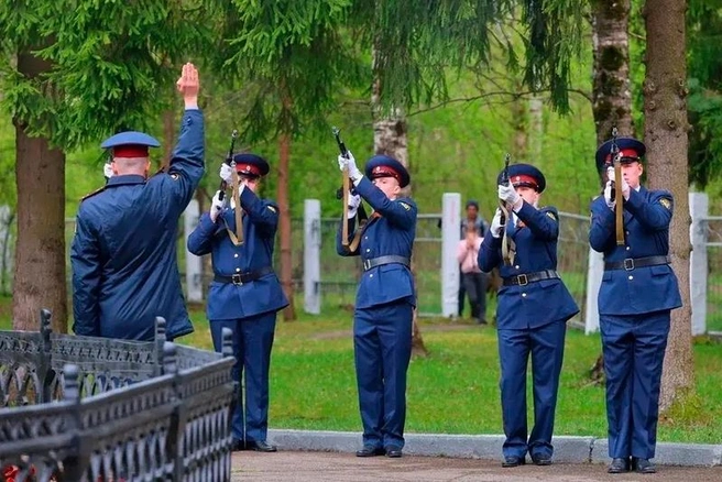 Источник: st.cherinfo.ru