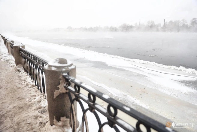 Источник: Сергей Михайличенко / «Фонтанка.ру»