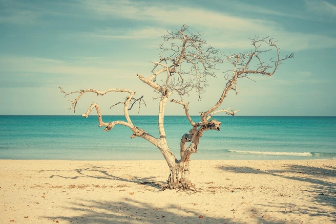 Пейзажи Евгений тоже снимает не как все | Источник: Евгений Доманов