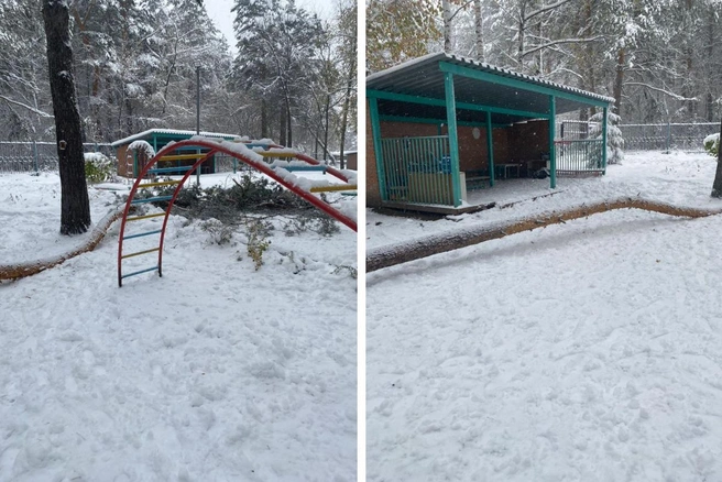 Ствол был изогнутой формы, поэтому мальчик не получил тяжёлых травм, считает мама | Источник: «Моя Первомайка» / Telegram