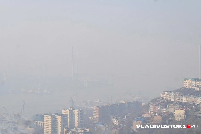 Источник: Елена Буйвол / VLADIVOSTOK1.RU
