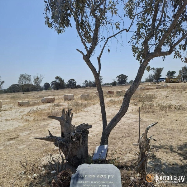 Источник: Ирина Багликова / «Фонтанка.ру»