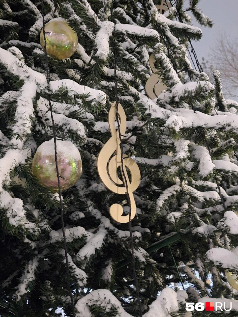 Источник: Анастасия Баринова / 56.RU