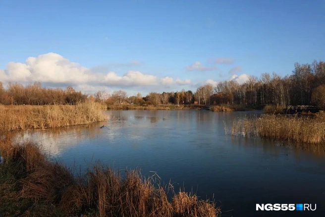 Озеро — жемчужина парка | Источник: Евгений Софийчук / NGS55.RU