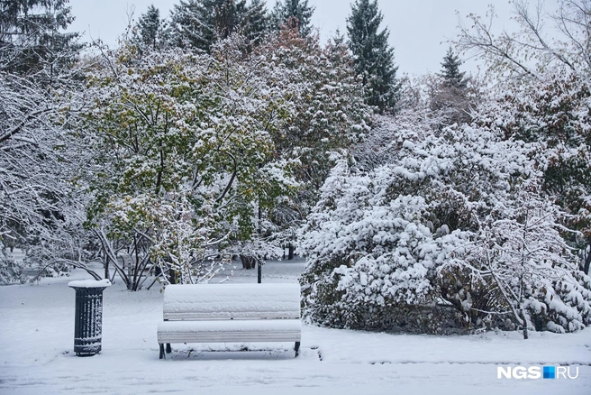 Там, где вчера ещё была осенняя грязь, сегодня лежит первозданная чистота | Источник: Александр Ощепков / NGS.RU
