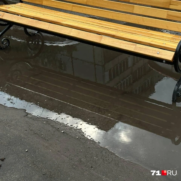 Пока лучше воздержаться от посиделок на Фридриха Энгельса | Источник: Виктория Денисова / 71.RU