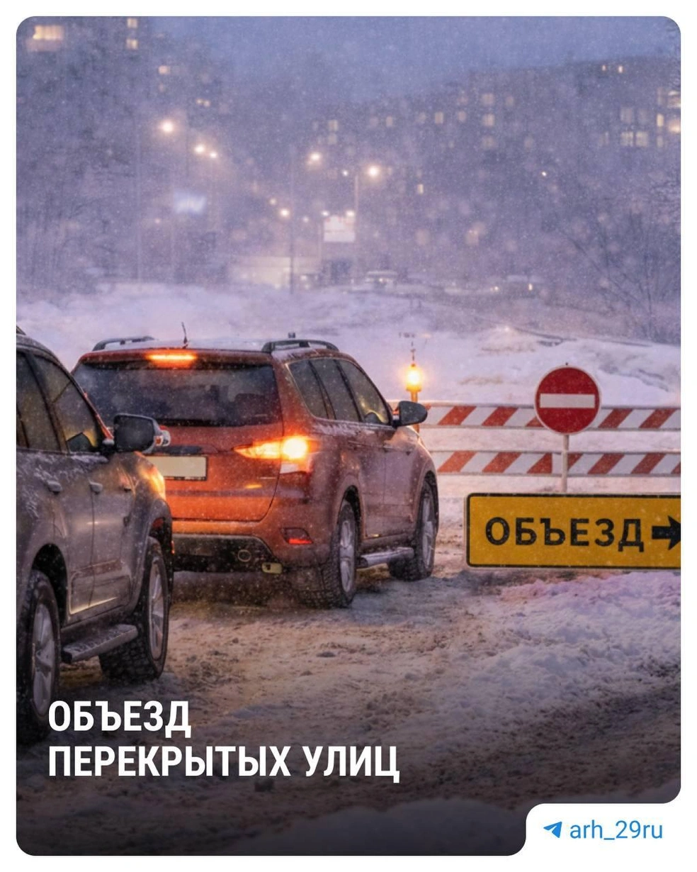 Источник: Анастасия Гусева / 29.RU