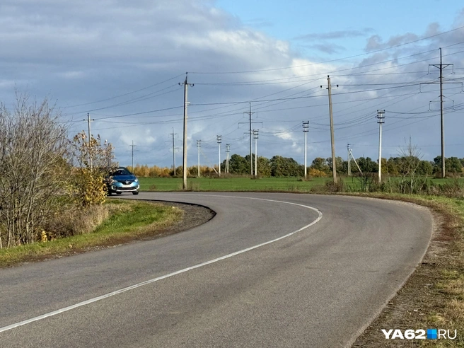 Не сумев войти в крутой поворот, ехавший со стороны Константинова чиновник, предположительно, вылетел на встречную полосу, где столкнулся с подростком на питбайке | Источник: Сергей Петунин / YA62.RU