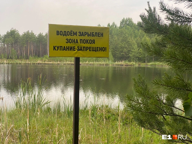 Арендаторы озера запретили соседям купаться | Источник: читатель E1.RU