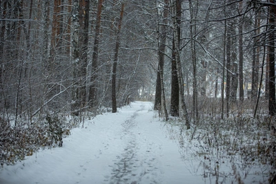 В Ханты-Мансийске найдено тело пропавшего подростка