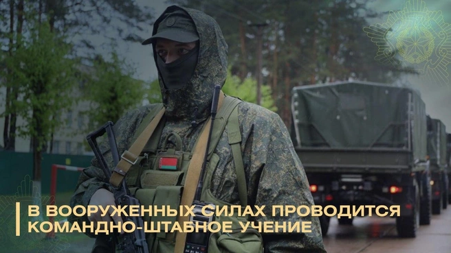 В Белоруссии начались учения по охране границы и борьбе с дронами | Источник: Министерство обороны Республики Беларусь / Telegram
