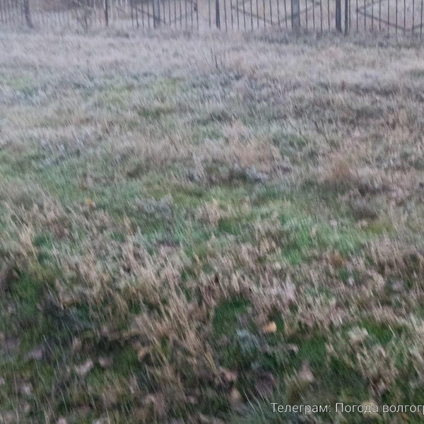 Источник: Meteo Volgograd / Telegram
