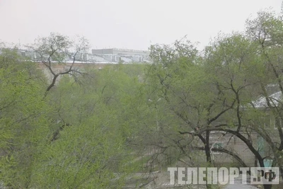 Без света сотни человек в Приамурье из-за непогоды
