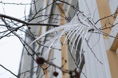 Yaroslavl Braces for Frosty First Week of February