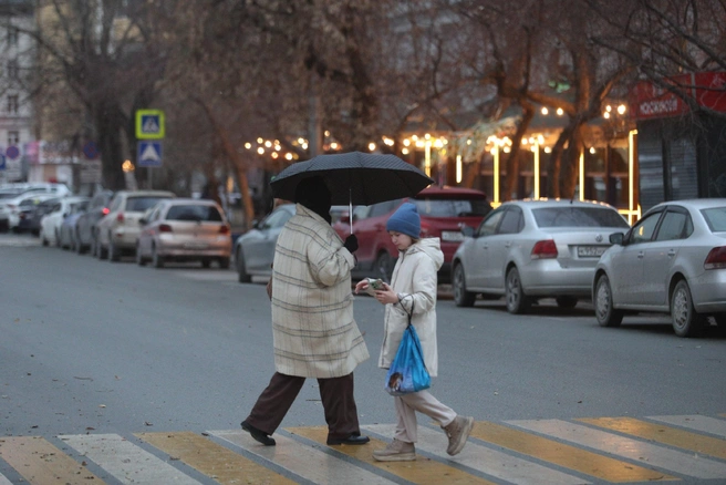 Источник: Андрей Бортко / NGS.RU