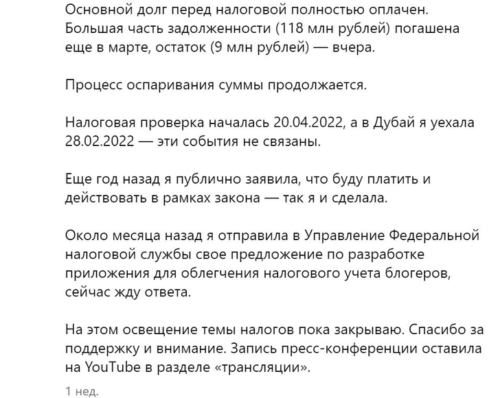 Блогеры и налоговая: сколько миллиардов осталось в тени