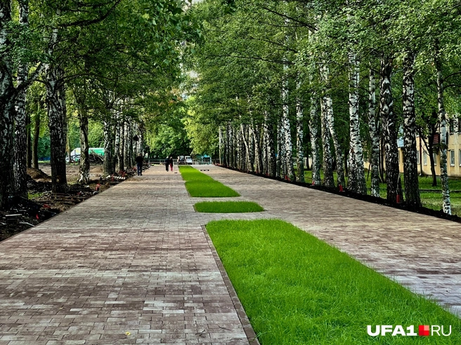 Теперь тут стало светлее | Источник: Андрей Бирюков / UFA1.RU