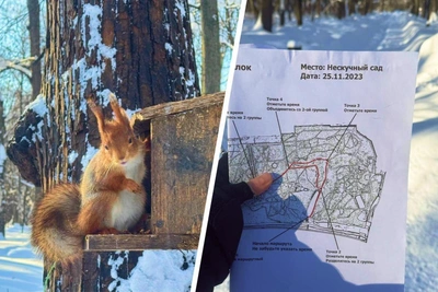 Are You Crazy? Our Journalist Spent the Day Counting Squirrels in Gorky Park — Here's Why