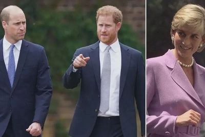 Принцесса Диана была бы разбита из-за разрыва между сыновьями