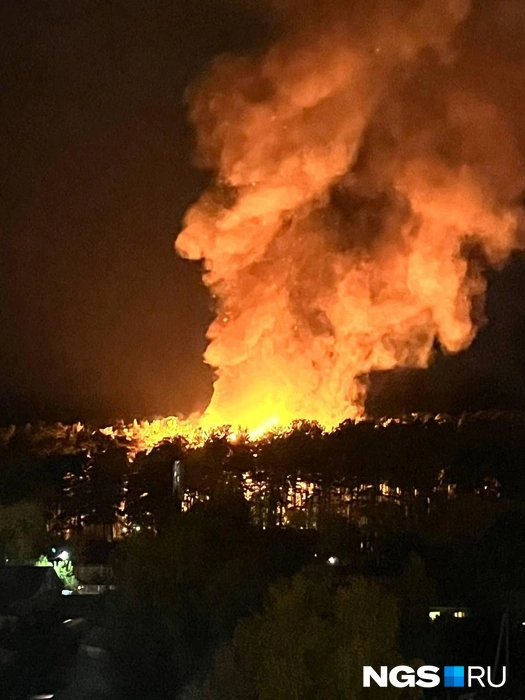 Источник: читатель НГС 