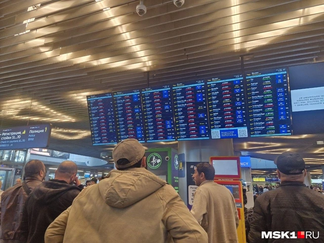 Пассажиры ожидают вылетов во Внуково | Источник: Софья Рябикина / MSK1.RU