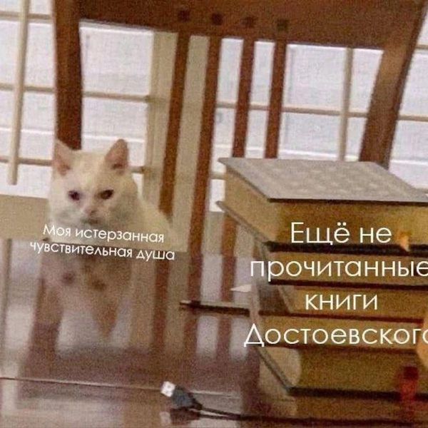 Источник: соцсети