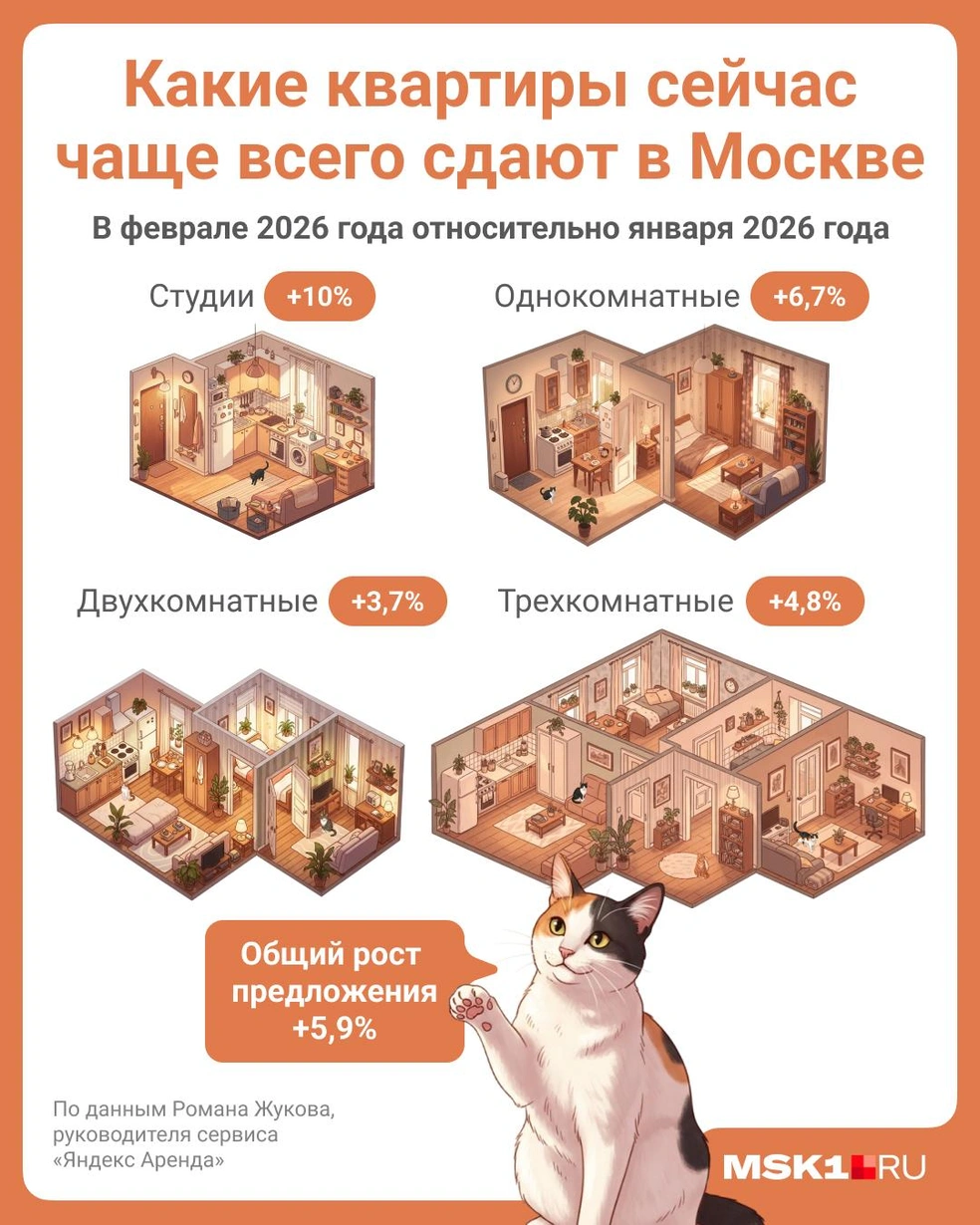 Каждой комнате — по котику | Источник: Полина Авдошина / Городские медиа