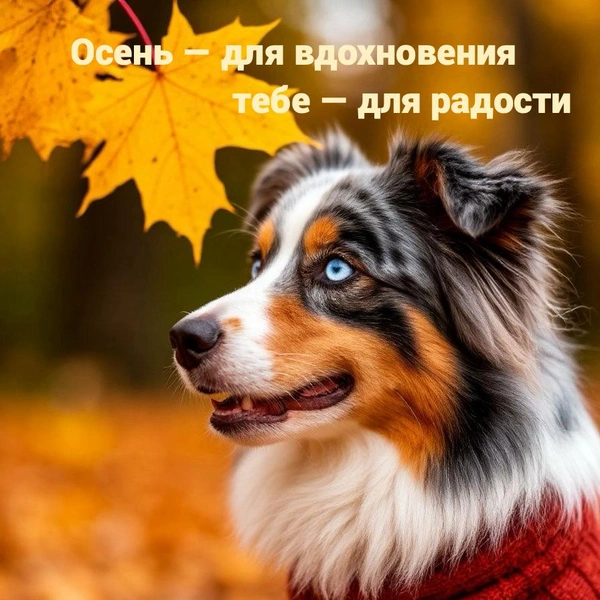 открытки с осенью, открытки с пожеланиями доброй осени, открытка с доброй осенью, открытки с осенью красивые, открытки с добрым утром осень, открытка с днем осени, открытка с добрым утром красивая осень, открытки с осенью с пожеланием | Источник: theDay/Шедеврум