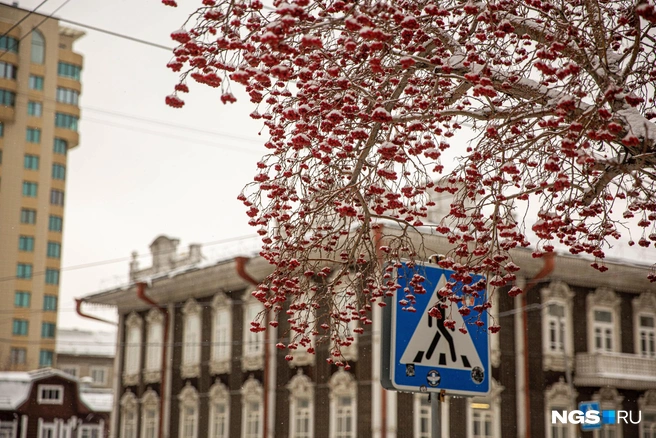 Погода не оставит новосибирцев без сюрпризов в 2026 году | Источник: Александр Ощепков / NGS.RU