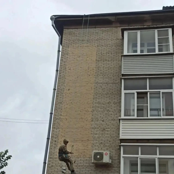 Источник: МЦУ города Барнаула