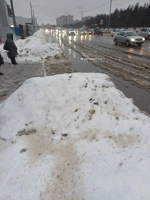 Источник: читатель Voronezh1.ru