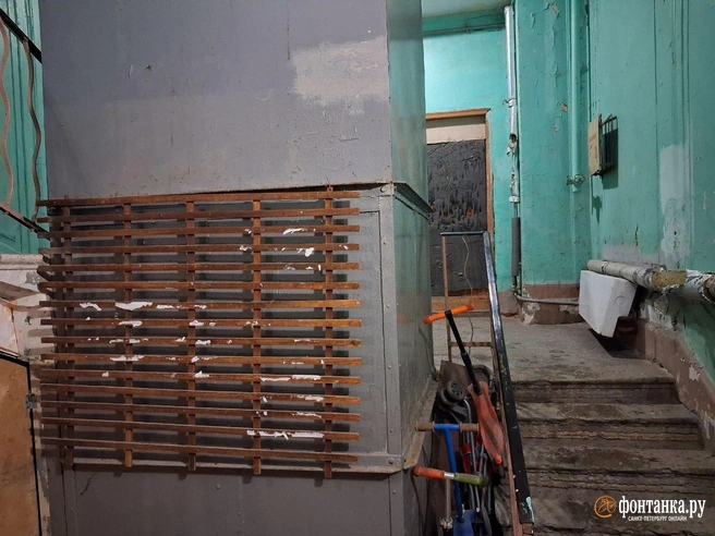 Источник: Анна Мотовилова / «Фонтанка.ру»