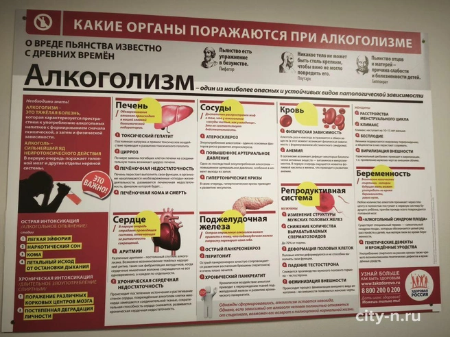 Источник: www.city-n.ru