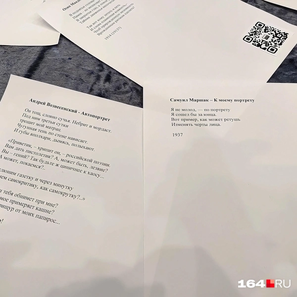 Источник: Сергей Гендин / 164.RU