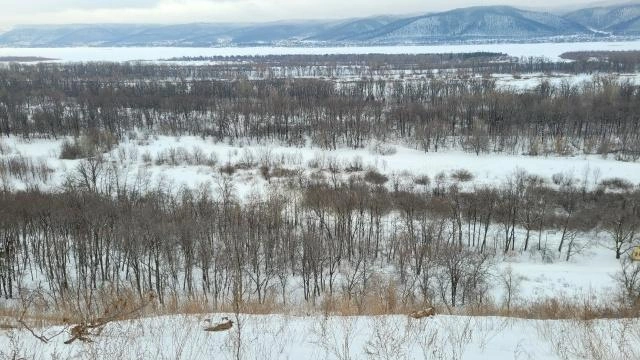 Вот такой вид открывается с площадки. Летом здесь еще красивее | Источник: Прибрежный / Vk.com