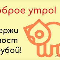 Аватарка vsuwyzbg