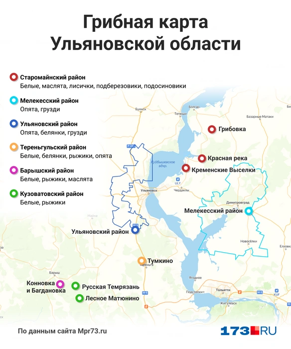 В Ульяновской области немало грибных мест | Источник: mpr73.ru