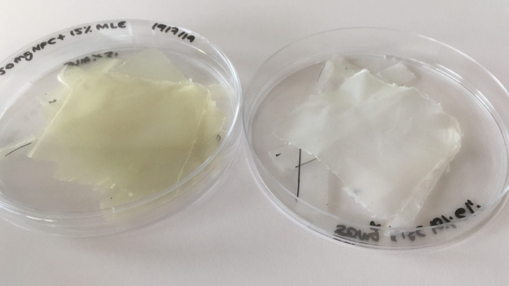 Ученые создали антибактериальный биопластик из листьев манго