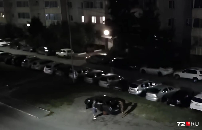 Соседи не только наблюдали за развитием дворового конфликта, но и сообщили о происходящем в полицию | Источник: читательница 72.RU