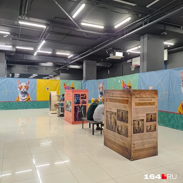 Источник: Сергей Гендин / 164.RU