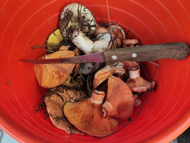 Источник: Ольга Суворова