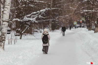 Уроки отменили в школе под Ярославлем из-за ЧП