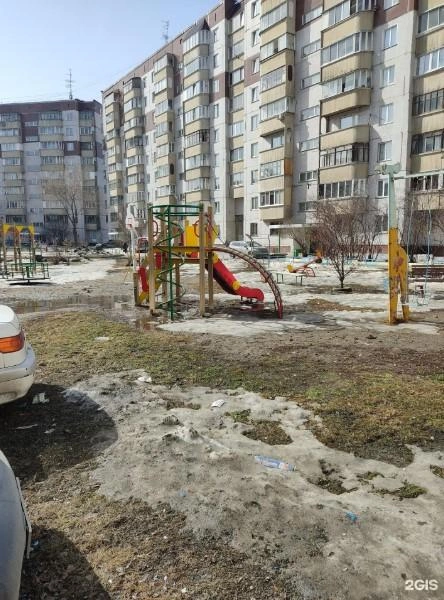 Во дворе домов № 113 и № 113/1 на Связистов притаился жираф | Источник: 2ГИС