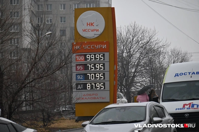Источник: Елена Буйвол / VLADIVOSTOK1.RU