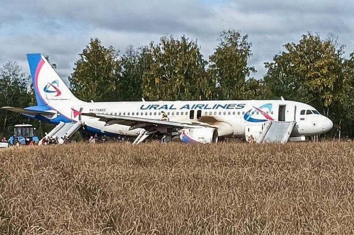 Чудо на пшеничном поле: рейс «Сочи — Омск» экстренно сел из-за нехватки топлива — все живы!