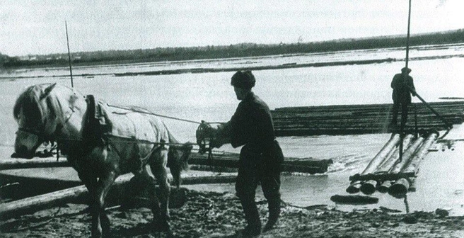Именно так в 30-е доставляли лес на пилораму. Тяжелый, изнуряющий труд. Пройдет не одно десятилетие прежде, чем часть задачу возьмет на себя техника | Источник: архив музея ДОК «Красный октябрь», Тюмень до нашей эры / Vk.com