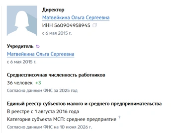 Уставные данные | Источник: Checko.ru
