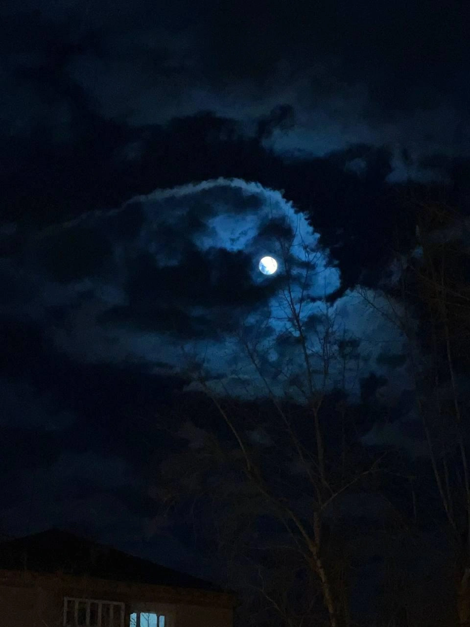 Источник: читатель 72.RU