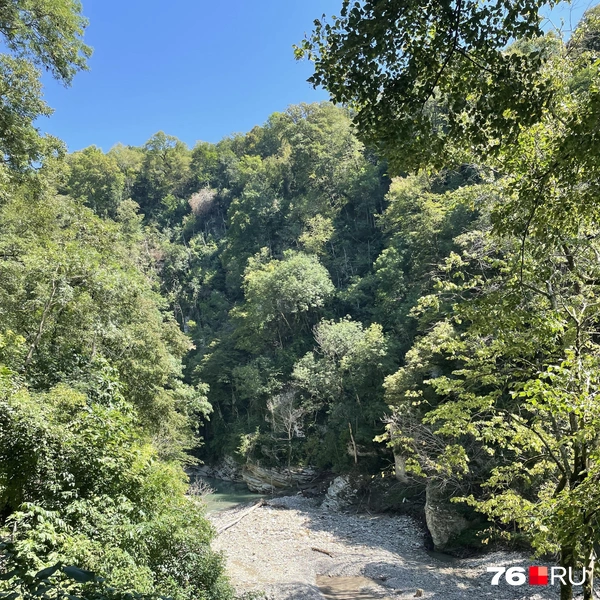 Глаз радуется от такого вида | Источник: Кирилл Поверинов / 76.RU